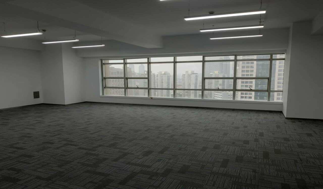 鸿运大厦曹杨路鸿运大厦257.81平