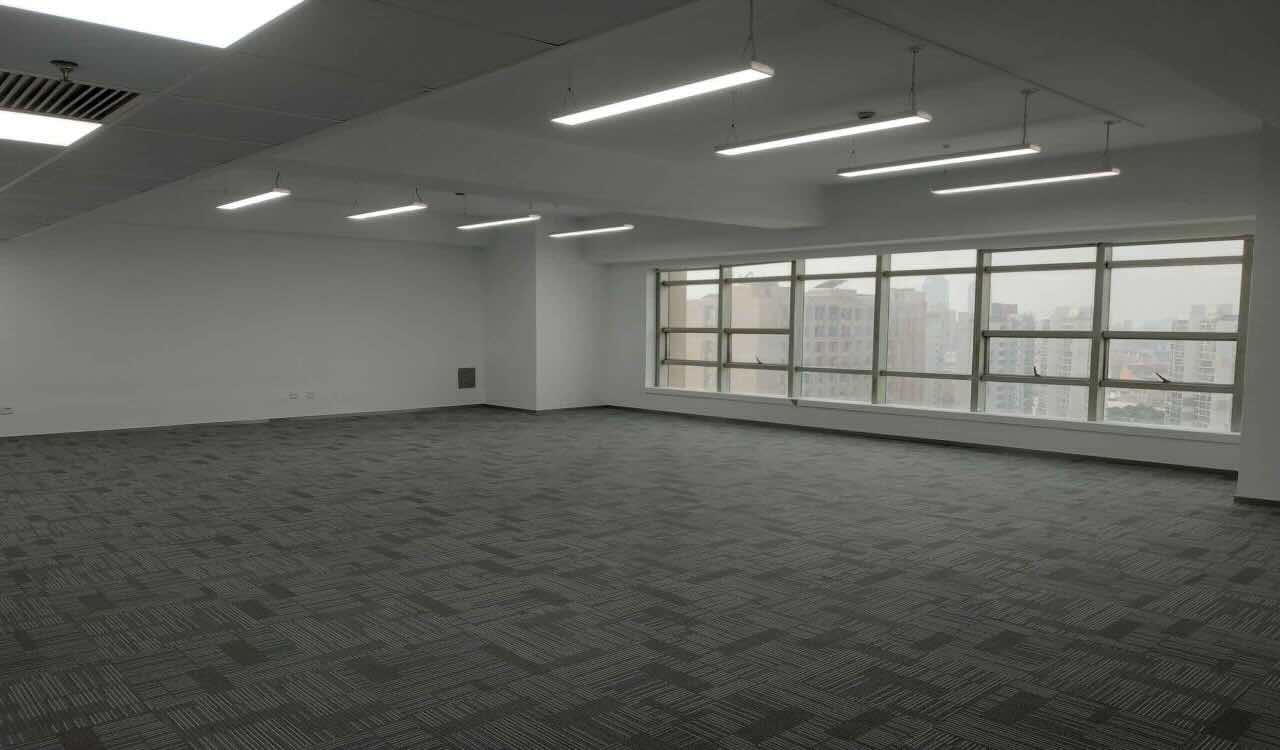 鸿运大厦曹杨路鸿运大厦257.81平