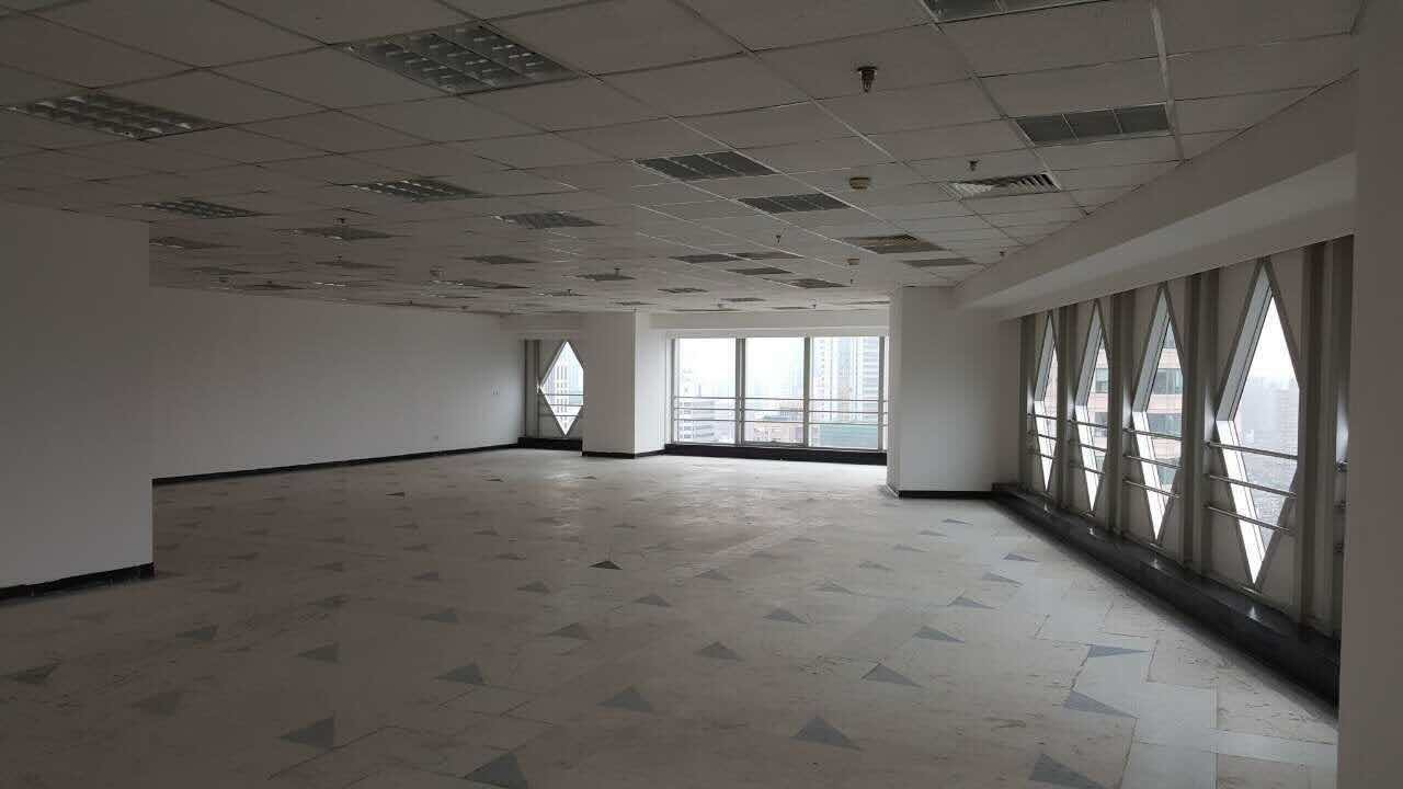 上海科技京城人民广场站，三轨交汇精装带家具，高区采光
