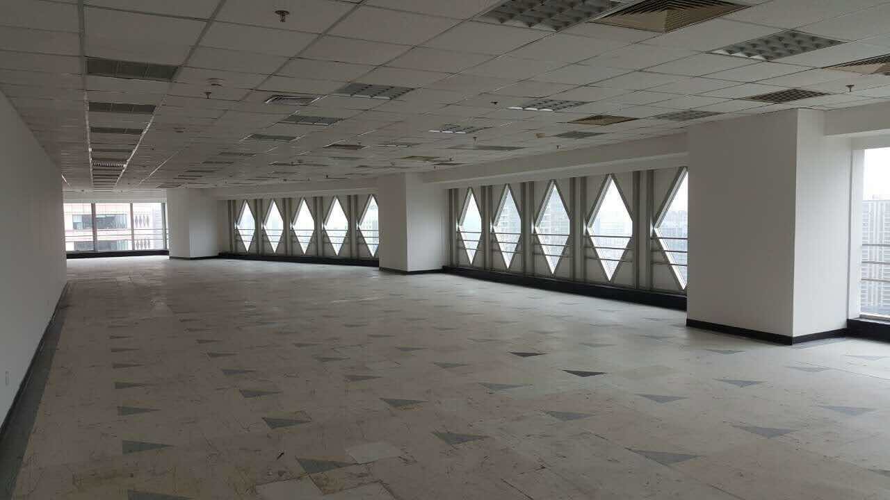 上海科技京城人民广场站，三轨交汇精装带家具，高区采光