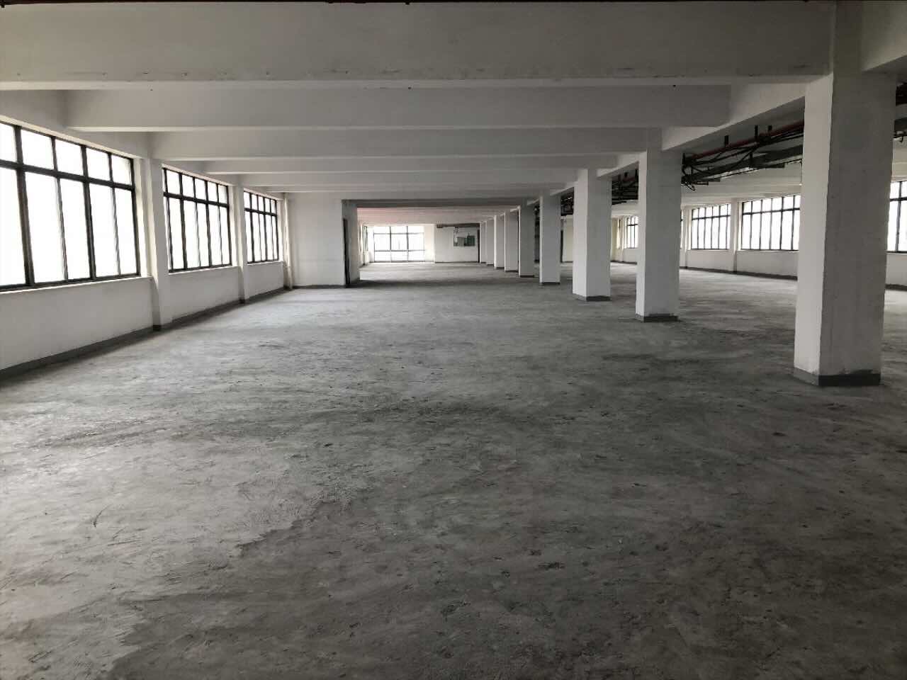 徐汇 天华信息科技园 4700平米 简装修