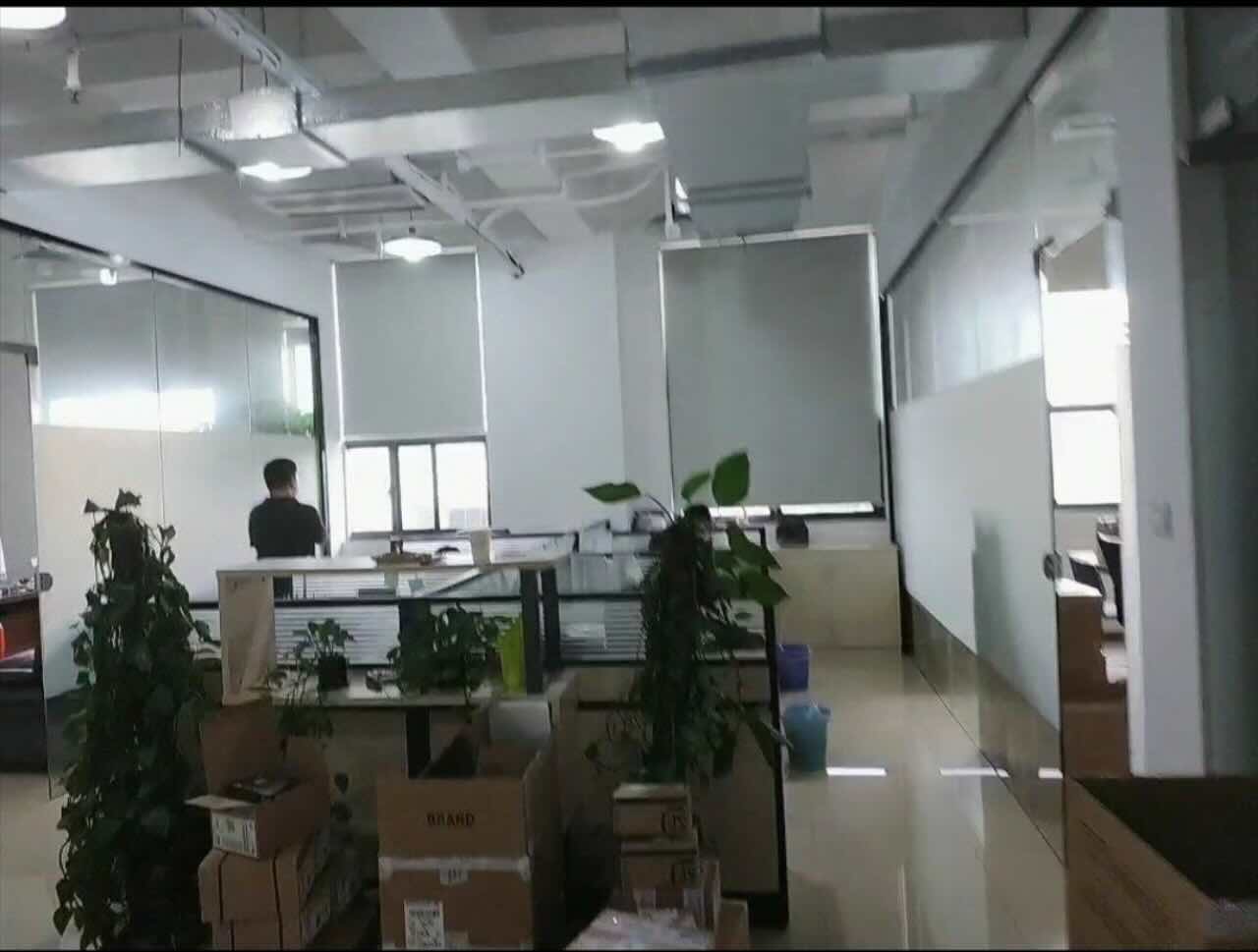 凤凰园徐汇 凤凰园 198平米 精装修