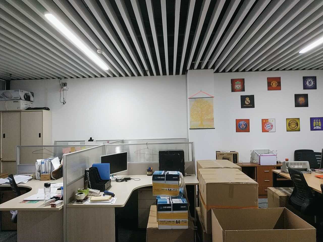 凤凰园徐汇 凤凰园 150平米 简装修