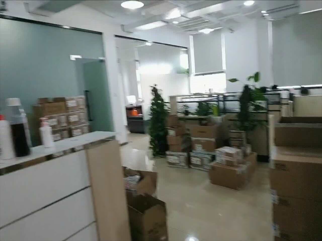 凤凰园徐汇 凤凰园 198平米 精装修