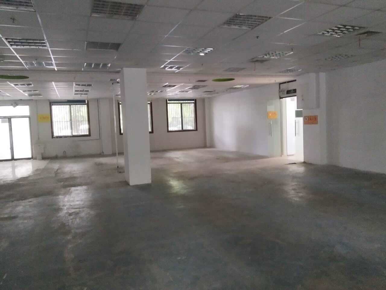 凤凰园徐汇 凤凰园 286平米 精装修