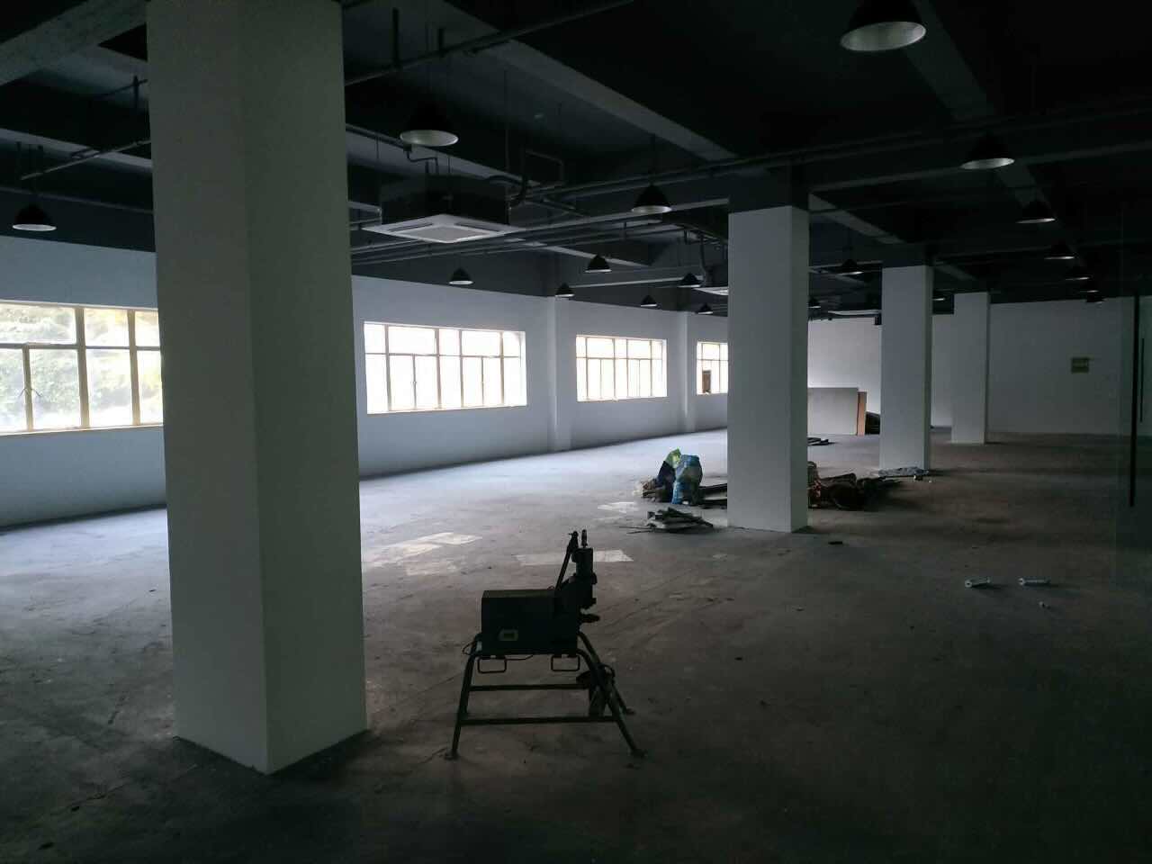 桂果园徐汇 桂果园 193平米 中等装修
