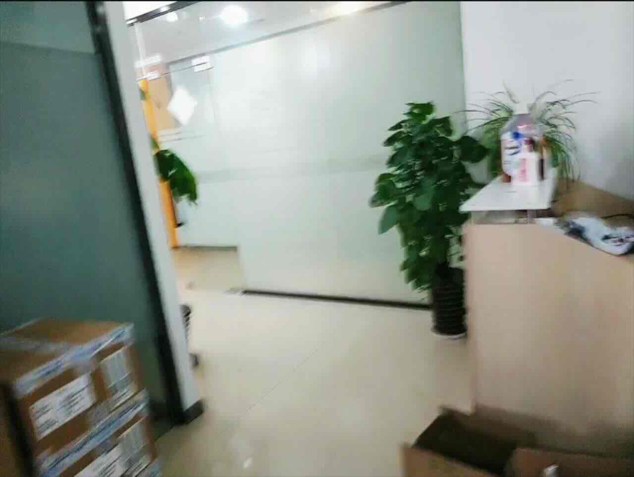徐汇 凤凰园 198平米 精装修