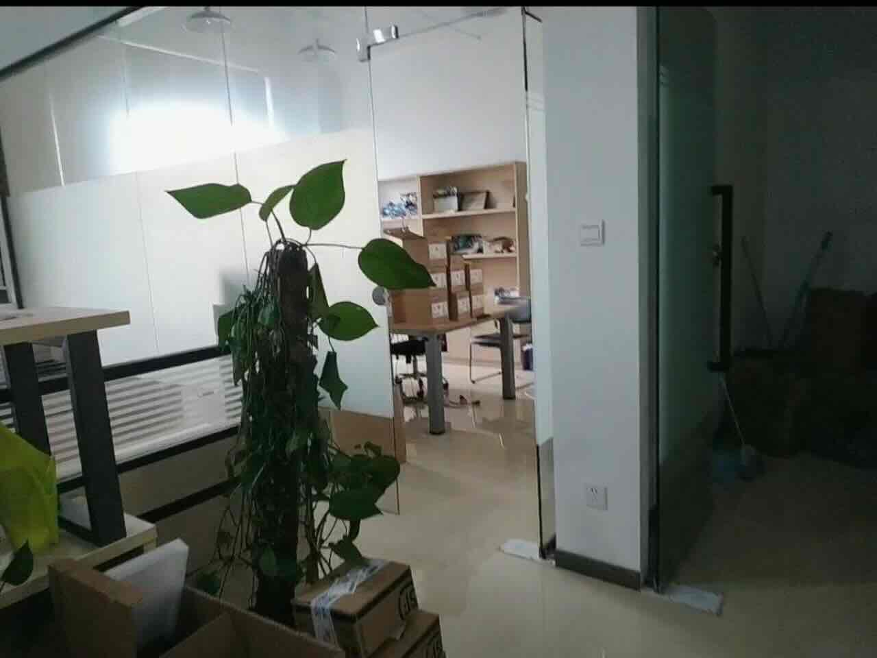 凤凰园徐汇 凤凰园 198平米 精装修