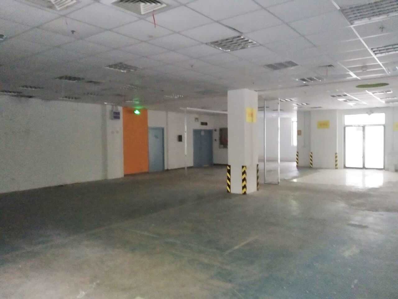 凤凰园徐汇 凤凰园 286平米 精装修
