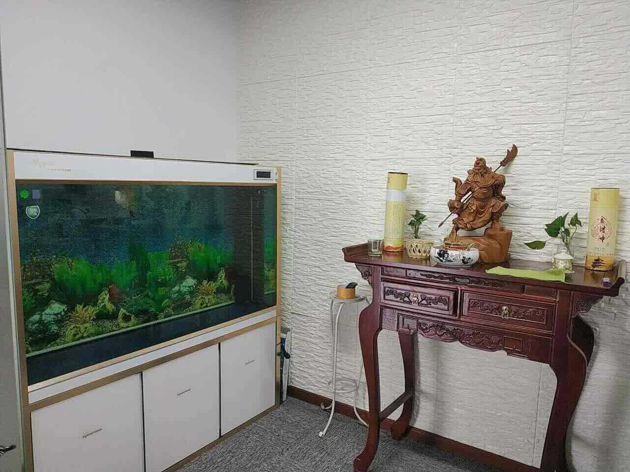 凤凰园徐汇 凤凰园 150平米 简装修