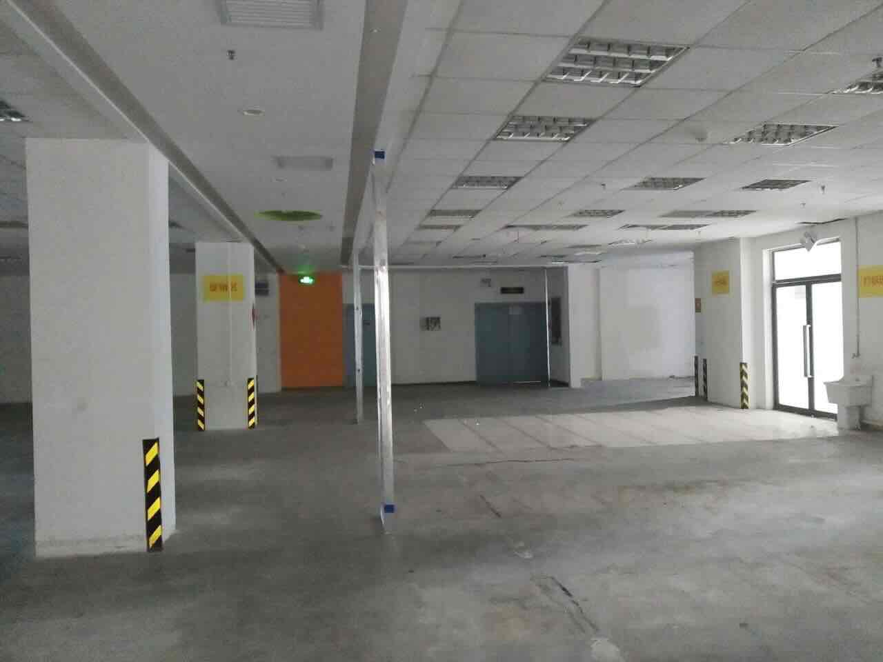 凤凰园徐汇 凤凰园 286平米 精装修