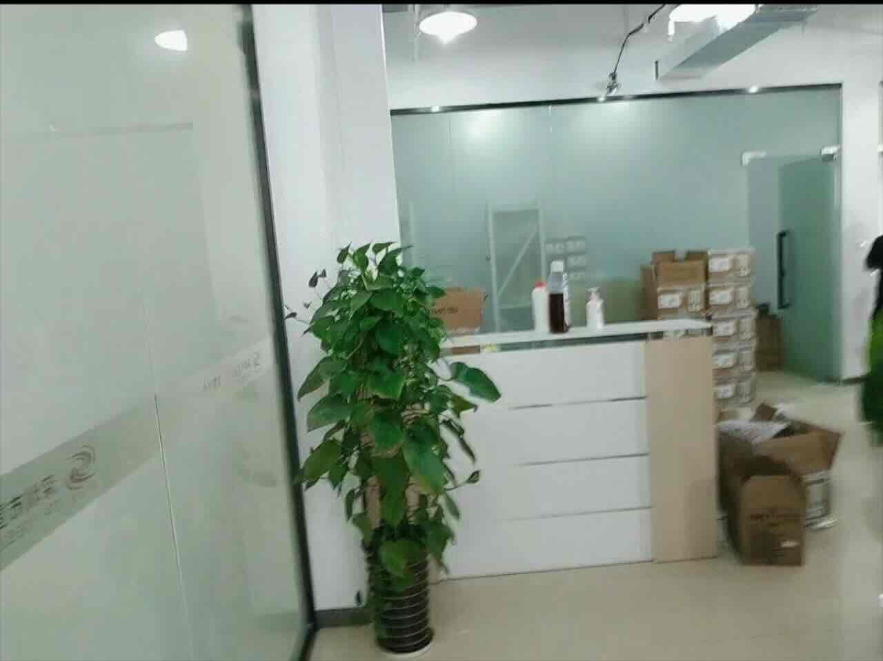 凤凰园徐汇 凤凰园 198平米 精装修