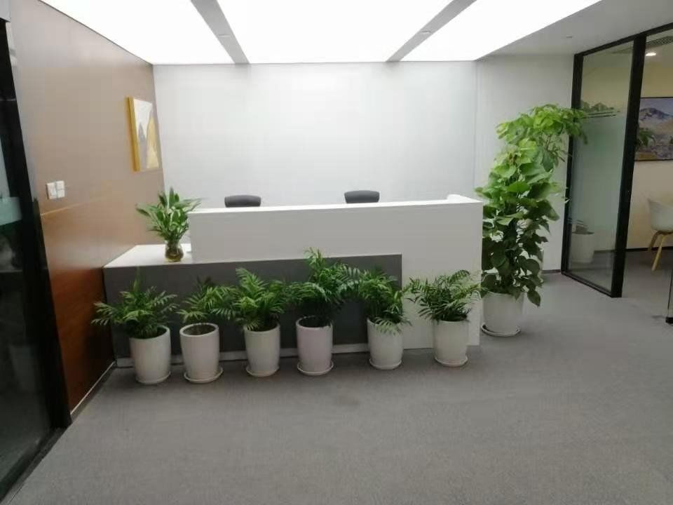 梅龙镇广场静安 梅龙镇广场 348平米 简装修