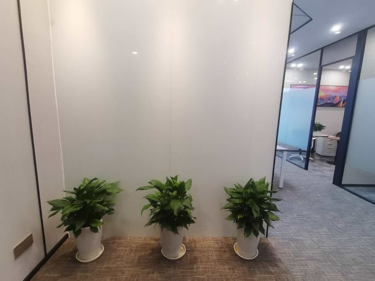 凯德龙之梦（虹口）虹口 凯德龙之梦（虹口） 184平米 精装修