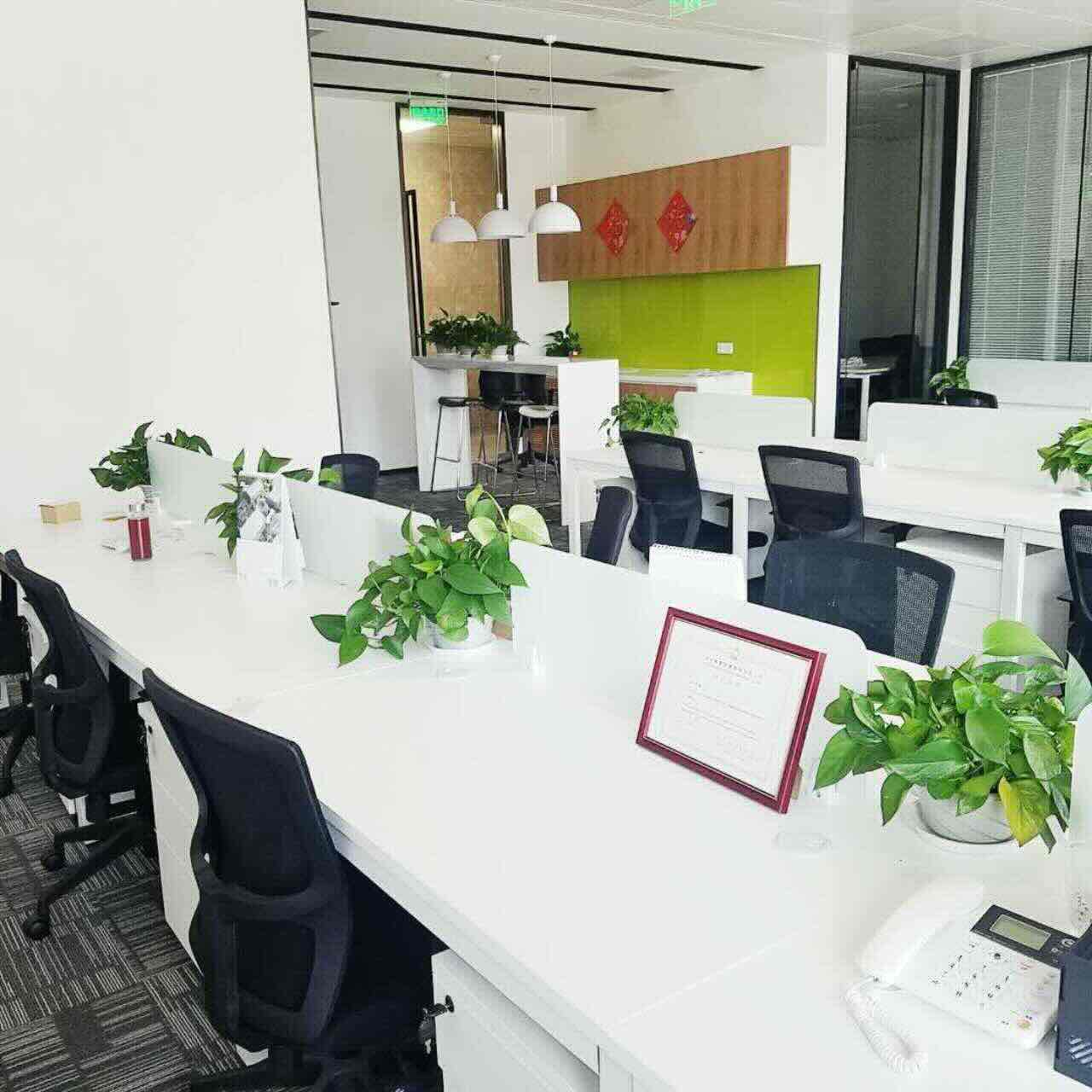 逐源大厦逐源大厦精装修30个开放工位，4个隔间，带大露台