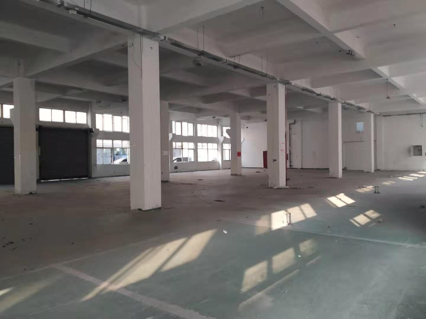 浦东 康桥东路1369号东门 182平米 简装修
