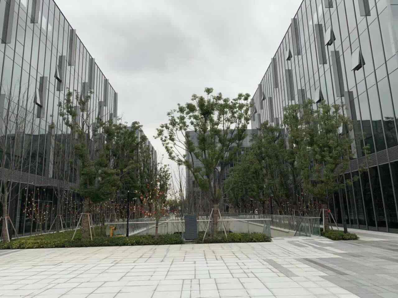 虹桥正荣中心闵行 虹桥正荣中心 477平米 精装修