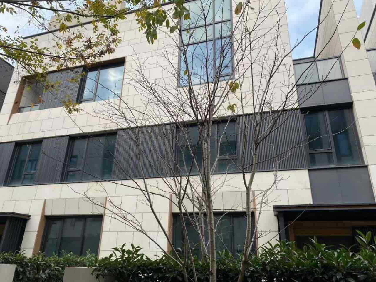 龙湖天钜闵行 龙湖天钜 435平米 毛坯