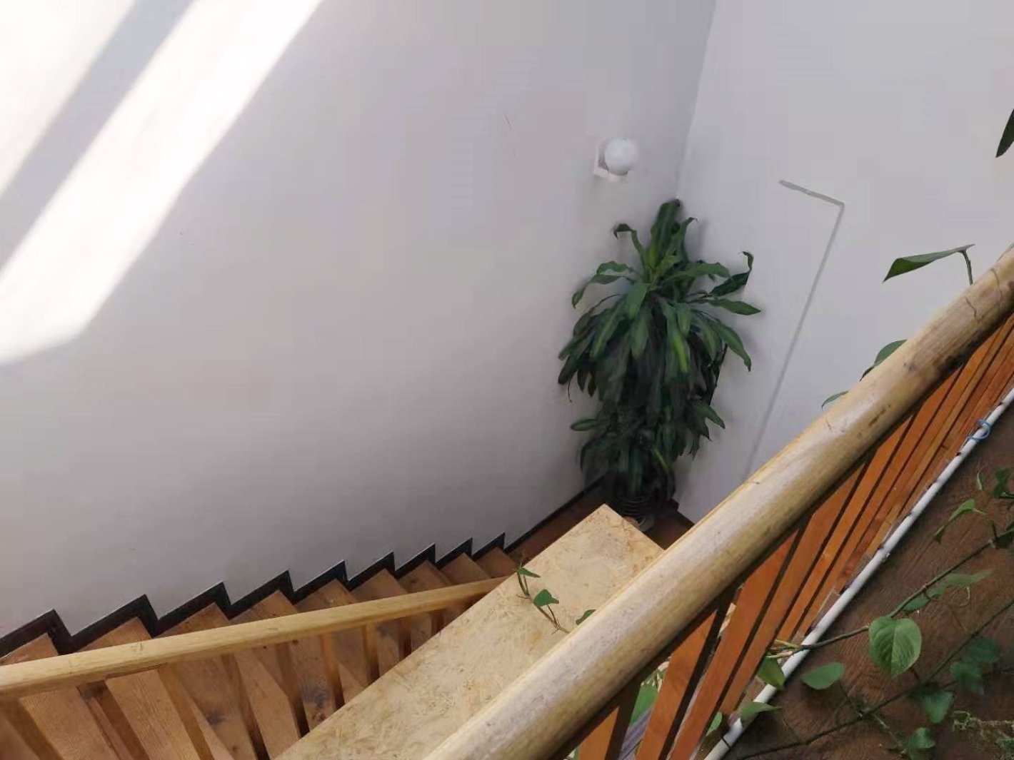 开伦江南场普陀 开伦江南场 183平米 精装修出租