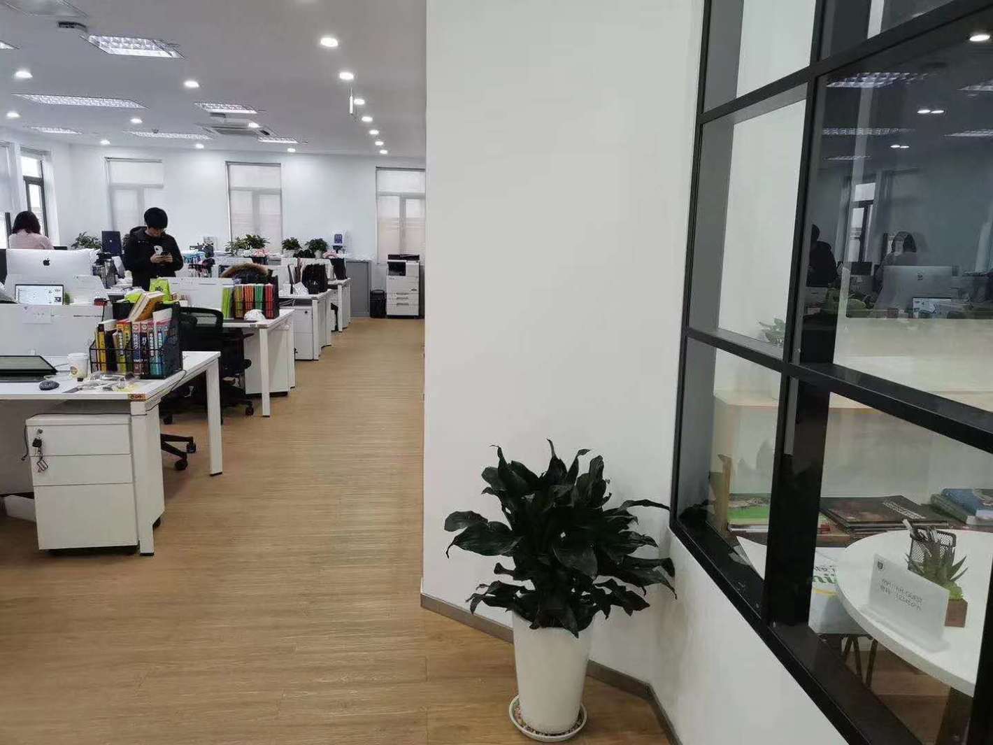 嘉春753长宁 嘉春753 427平米 精装修