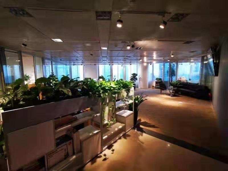 金茂大厦浦东 金茂大厦 263平米 中等装修