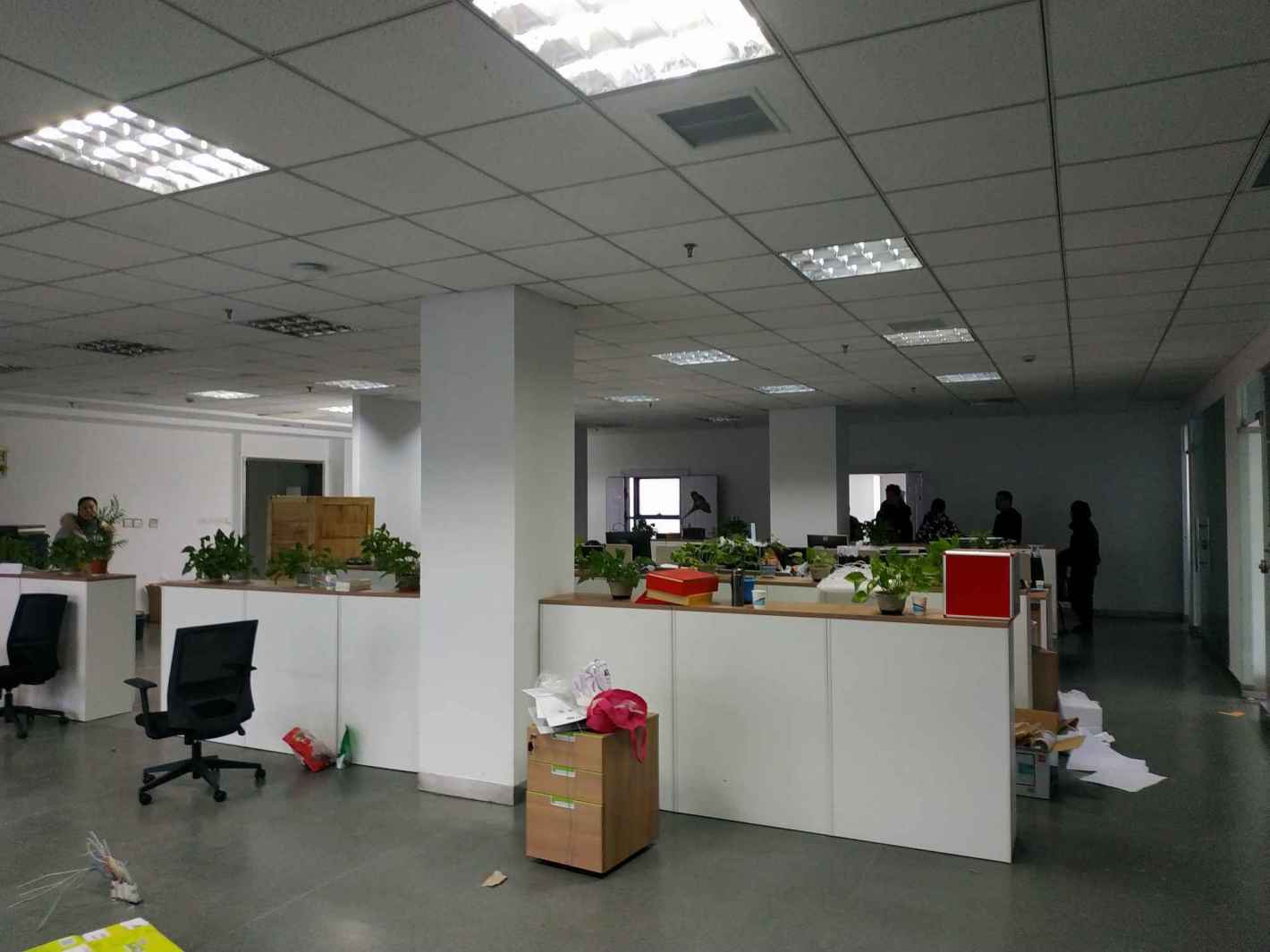 明谷科技园闵行 明谷科技园 533平米 简装修
