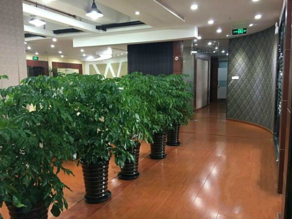 东方环球企业中心新静安（闸北） 东方环球企业中心 328平米 中等装修