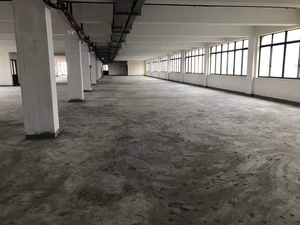 光启园徐汇 光启园 1261平米 毛坯