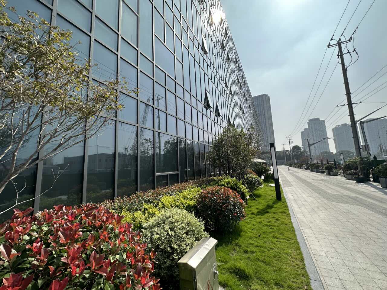 东方谷里