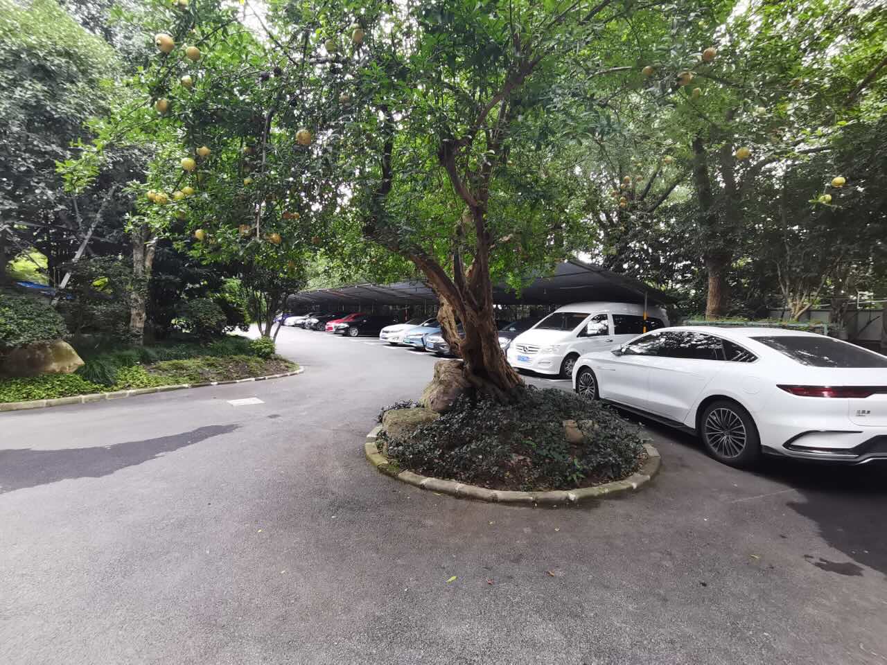 绿地集团森茂园林
